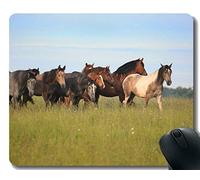 Customized Rubber Mousepad, campo de yegua salvaje de campo de yegua con borde cosido