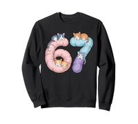 Cute 67 Cat Meme Design Sudadera