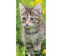 Cute as a Kitten 2-Year 2026-27 3.5 X 6.5 Monthly Pocket Planner