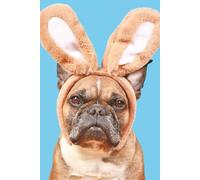 Cute Bunny Ears Dog Notebook: Funny French Bulldog Journal (6x9, 100 Lined Pages)
