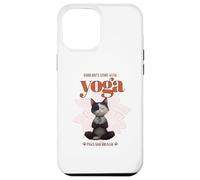 Cute Cat Yoga Spiritual Meditation Zen Balance Namaste OM Carcasa para iPhone 12 Pro MAX
