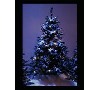 Cute Christmas Wish list: My letter to Santa