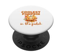 Cute Coolest Pumpkin in The Patch Halloween Thanksgiving PopSockets PopGrip Adhesivo