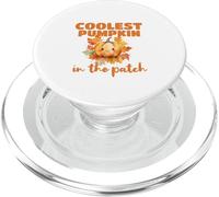 Cute Coolest Pumpkin in The Patch Halloween Thanksgiving PopSockets PopGrip para MagSafe