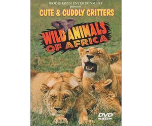 Cute & Cuddly Critters - Cute & Cuddly Critters: Wild Animals Africa [USA] [DVD]