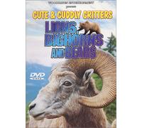 Cute & Cuddly Critters: Lions Bighorns Bears [USA] [DVD]