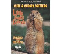 Cute & Cuddly Critters: Little Furry Friends [USA] [DVD]