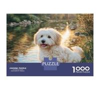 Cute Dog 1000 Piezas Papel Ecológico Resistente Rompecabezas Premium Bichon Frise Extremadamente Difícil Juego Creativo Rompecabezas para Decoración del Hogar 38x26cm/1000pcs