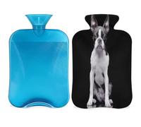Cute Dog Boston Terrier - Botella de agua caliente con funda, 2 L, gran capacidad, bolsa de agua para noches acogedoras, alivio del dolor, espalda, cuello y hombros