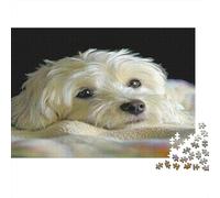 Cute Dog Challenging & Brainteasing Puzzle White Fluffy Dog for Adults & Kids Age 12 Years Up 38x26cm/1000pcs