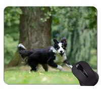 Cute Dog Puppy Lie On The Ground Alfombrilla de ratón, Border Collie Alfombrilla de ratón