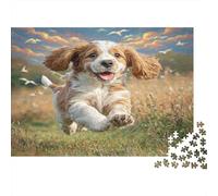 Cute Dog Puzzle for Adults 14-99 Years Cavalier Spaniel in Field Educational Game for Home Decor & Gifts 52x38cm/1000pcs