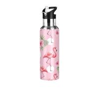 Cute Flamingos - Botella de agua de acero inoxidable aislada al vacío de 20 onzas, a prueba de fugas, botella de agua deportiva sin BPA con popote