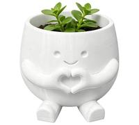 Cute Flower Planters, Pots Container Set, Desktop Plant Growing Decor, Home Office Balcony Windowsill Use, Small Flower Container, Living Room Bedroom Study Bookshelf Garden 2.36x3.15 Inches