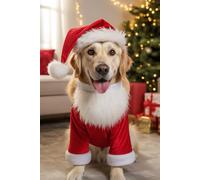 Cute Golden Retriever Christmas Notebook: Santa Dog Journal: Adorable Festive Golden Retriever in Santa Outfit Notebook for Dog Lovers, Holiday Notes, Gift Lists & Christmas Planning