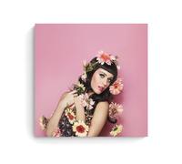 Cute-Kate-Perry - Póster decorativo de lienzo para pared e impresión artística moderna para dormitorio familiar, pósteres de 20 x 20 pulgadas (50 x 50 cm)