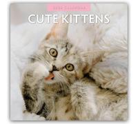 Cute Kittens 2026 Square Wall Calendar: Original Red Robin Publishing Ltd-Kalender [Mehrsprachig] [Kalender]