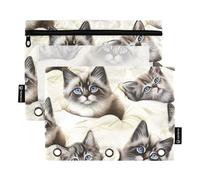 Cute Kittens - Carpeta de 3 anillas con cremallera, color rosa, para escuela, transparente, bolsillos para estudiantes, 24,8 x 18 cm, 2 paquetes