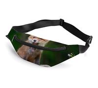 Cute Little Red Fox Cute Pig on Green Grass Fanny Pack, riñonera Deportiva para niños Adultos para Hombres y Mujeres