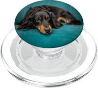 Cute Long Hair Dachshund Puppy Dog Print PopSockets PopGrip para MagSafe