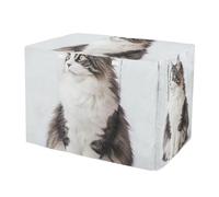 Cute Maine Coon - Funda enrollable para jaula de perro o gato con ventanas de malla, tamaño XL