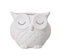 Cute Owl Planter - Resin 3.7 Inches Decorative Flower Container 9.5x11cm, Holder | Desk Planter, Garden Decor Container, Bookshelf Plant Holder, Home Office Decor, Gift Idea