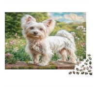 Cute Pet Dog Rompecabezas de Papel Grueso Yorkie Blanco en Sendero de Piedra en el jardín, Pack Entrenamiento Cerebral para Adultos Mayores, Regalo de Amigo Invisible 38x26cm/1000 Piezas