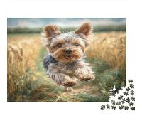 Cute Pet Dog Rompecabezas de Papel Grueso Yorkie Corriendo en el Campo de Trigo Dorado, Pack de Entrenamiento Cerebral para Adultos Mayores, Regalo de Amigo Invisible 70x50cm/1000 Piezas