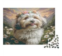 Cute Pet Dog Rompecabezas Premium de cartón Havanés con Corona de Flores en Prado de Margaritas, Entrenamiento Cerebral y decoración del hogar 70x50cm/1000 Piezas