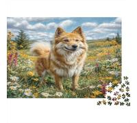 Cute Pet Dog Rompecabezas Premium de cartón Shiba Inu en Prado de Flores Silvestres, decoración del hogar para Combatir el aburrimiento 70x50cm/1000 Piezas