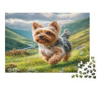 Cute Pet Dog Rompecabezas Premium de cartón Yorkshire Terrier Corriendo en Prado Verde, Relleno de calcetín Decorativo 70x50cm/1000 Piezas