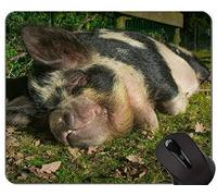 Cute Pig Computer Mouse Pad, Hog Alfombrilla de ratón cómoda para juegos y oficina - （Pig）