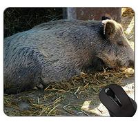 Cute Pig Customized Design Extended Gaming Mouse Pads, Jabalí impreso con un adorable cerdito