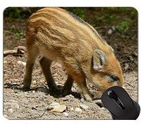 Cute Pig Diseño Personalizado Alfombrillas de ratón para Juegos extendidas, Hog Wild Año Nuevo de Pig Gaming Mouse Pad