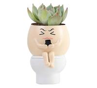 Cute Plant Pot - Resin, 4.13x3.54x5.12in Frowning Face Planter Fun Design | Durable Indoor/Outdoor Desk Decor, Small Planter For Home, Office, Garden, Balcony, Tabletop, Gifting