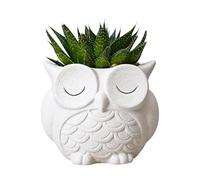Cute Planters,Decorative Small Resin Statue | Indoor Planter Owl Figurines | for Indoor Outdoor Desk Bookshelf Windowsill Balcony Patio Backyard Garden Living Room Office
