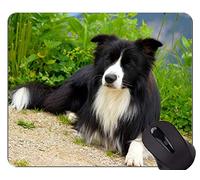 Cute Pug Dog Mouse Pads, Puppy Shetland Sheepdog Mouse Pad con Borde Cosido