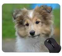 Cute Pug Dog Mouse Pads, Shetland Sheepdog Mouse Pad Alfombrilla