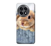 Cute Rabbit Funda Carcasa Case para OnePlus 13R