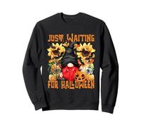 Cute Vampire GNOME For Women with Pumpkin Autumn Sunflower Sudadera