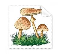 Cute Verde Planta Truffle ilustración gafas paño de limpieza paño móvil limpiador de pantalla 5 unidades regalo