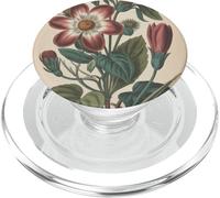 Cute Vintage Botanical Flower Red Beige PopSockets PopGrip para MagSafe