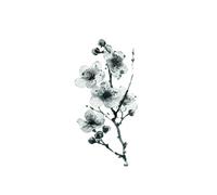 CUTeFiorino 50 pegatinas transparentes de flores vintage de flores silvestres pegatinas florales pegatinas de flores de PET para álbumes de recortes, diarios, tazas de cuaderno, vasos botánicos
