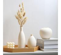 Cutfouwe Jarrón beige Boho Jarrones para cola de conejo, hierba de pampas, flores secas, florero decorativo moderno, de cerámica, rústico, casa de campo, decoración para el hogar, beige