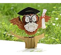 CUTPOPUP Graduación del Búho Tarjeta de Graduación (Owl Graduation) US8-OC140ES