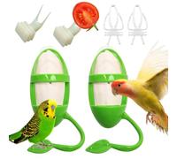 Cuttlebone - Calcium Supplement | Bird Feeding Station, 3-in-1 Perch | Fruit & Veggie Holders, Natural Bone for Beak Health, Multi-Function Clip Set, Essential Mineral Source, 2 Pack with Forks, f