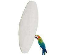 Cuttlebone, Cuttlebone, Natural para pájaros, 10 Piezas de Juguete para morder de Calamar para periquitos y Otras Aves, Hueso de de Peluche Natural, Piedra de Calcio para Caracoles, NINFA