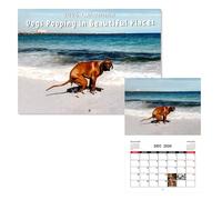 CUVZORA Calendario 2026 de caca de perros con caca en lugares bonitos, humor, divertido calendario de pared, regalos creativos para amigos y familiares (perro de playa)