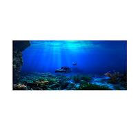 CUYT Póster de PVC Fondo Impermeable Autoadhesivo para Acuario(122 * 46cm)