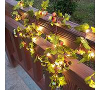 cuzile Cadena de luces solar con flores, 50 LED resistentes al agua con forma de rosa, 8 modos, iluminación solar con estrellas en forma de hada de Navidad para decorar caminos de jardín, casas, bodas